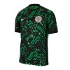 Maillot de Supporter Nigeria Euro Extérieur 2024-25 Pour Homme